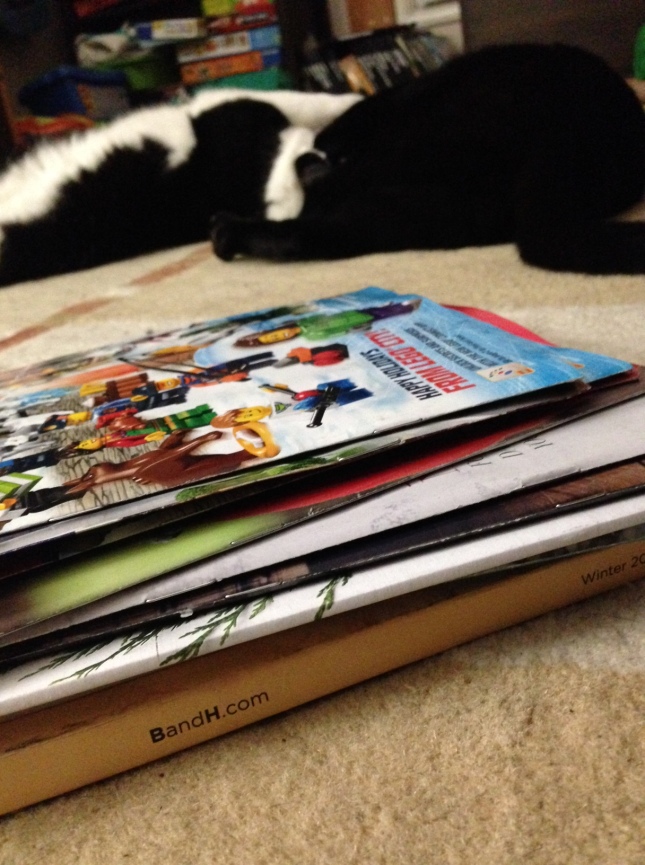 actual holiday catalogs that arrived today and cats fighting over them. 